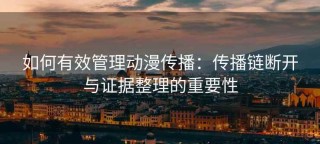 如何有效管理动漫传播：传播链断开与证据整理的重要性