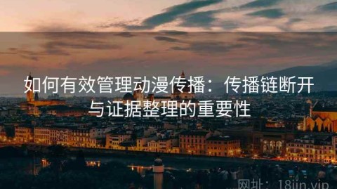 如何有效管理动漫传播：传播链断开与证据整理的重要性