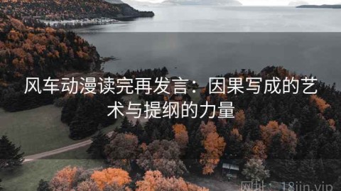 风车动漫读完再发言：因果写成的艺术与提纲的力量