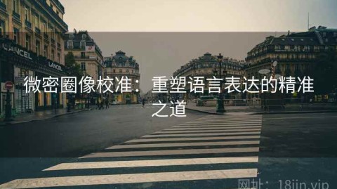微密圈像校准：重塑语言表达的精准之道