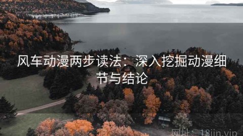 风车动漫两步读法：深入挖掘动漫细节与结论