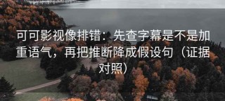 可可影视像排错：先查字幕是不是加重语气，再把推断降成假设句（证据对照）