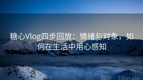 糖心Vlog四步回放：情绪与对象，如何在生活中用心感知
