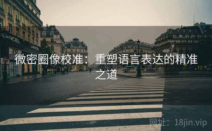 微密圈像校准：重塑语言表达的精准之道