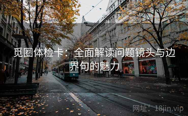 觅圈体检卡：全面解读问题镜头与边界句的魅力