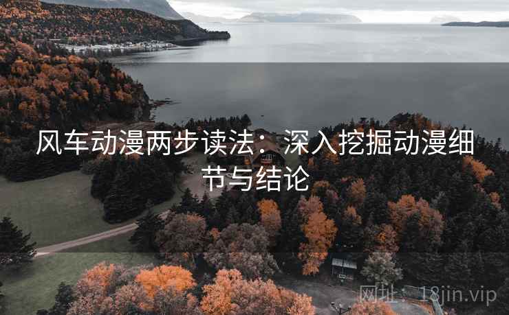 风车动漫两步读法：深入挖掘动漫细节与结论
