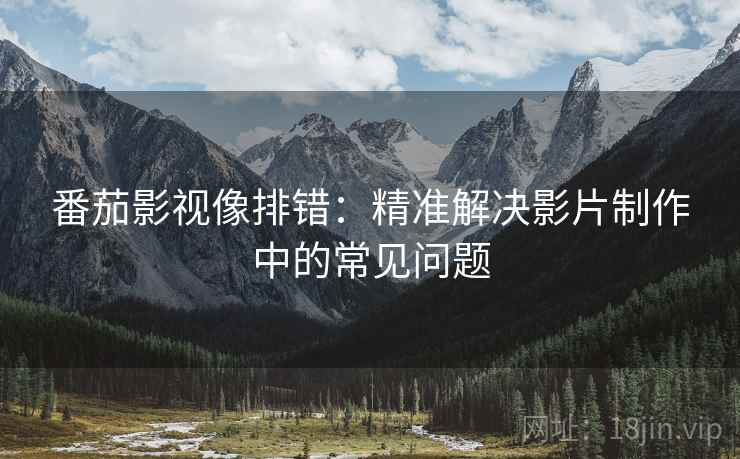 番茄影视像排错：精准解决影片制作中的常见问题